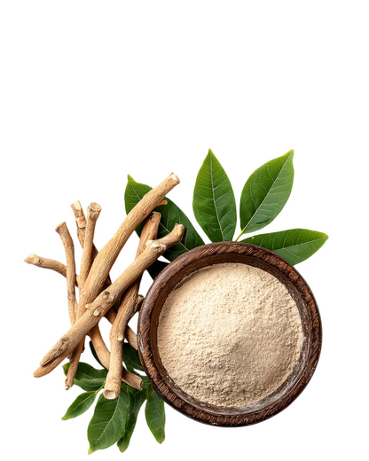 ASHWAGANDHA PREMIUM